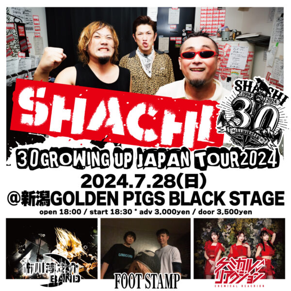 SHACHI - 2024.07.28(Sun)新潟GOLDEN PIGS BLACK